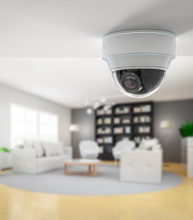 ProSecure 30X Zoom PTZ