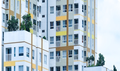 Palms, Los Angeles 17