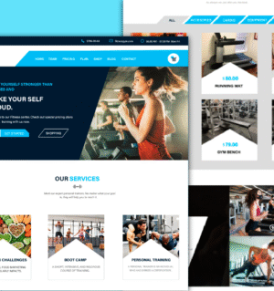 real-fitness-wordpress-theme