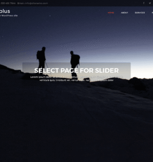 free-zyloplus-wordpress-template