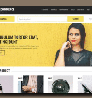 free-ecommerce-wordpress-theme