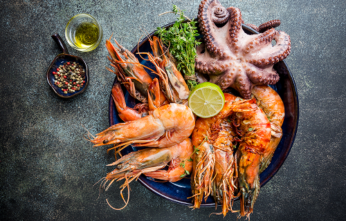 Sustainable Fishing – A Deep Dive into the Future