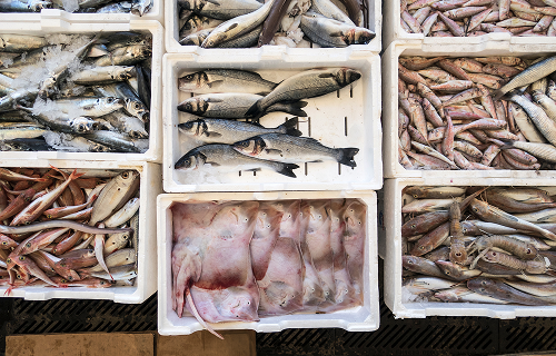 Behind the Net: Fishermen Tales & Traditions