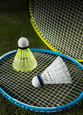 Badminton Equipment
