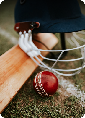 Cricket